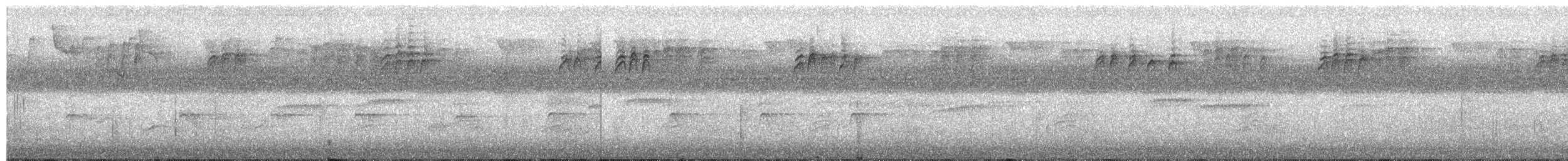 Northern Cardinal - ML641811714