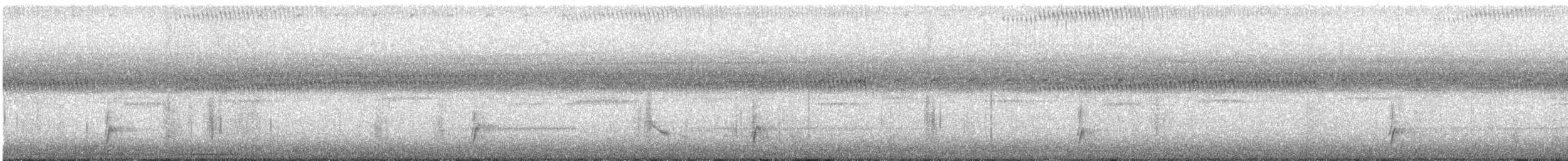 Swainson's Thrush - ML641811790