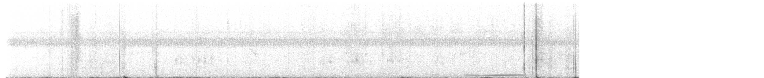 White-tipped Dove - ML641812490