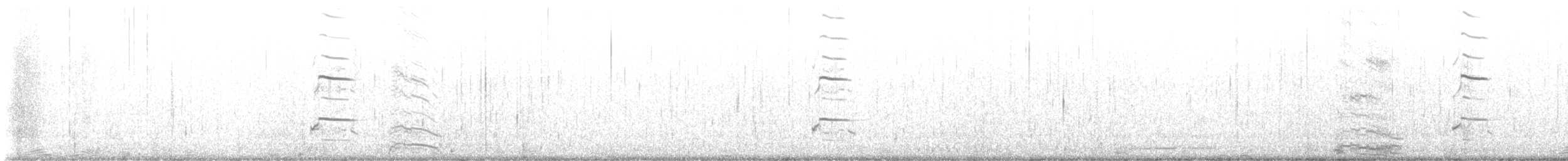 racek kalifornský - ML641813548