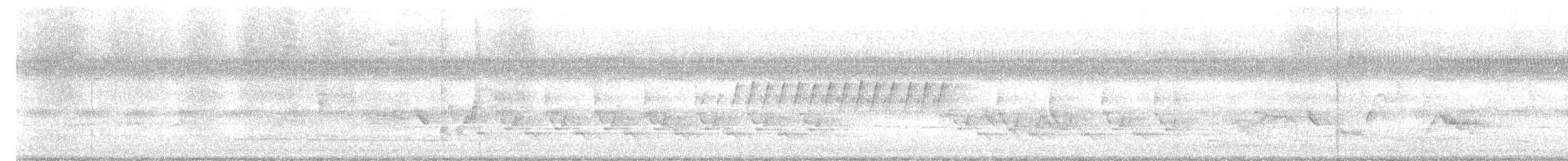 střízlík karolínský - ML641814787