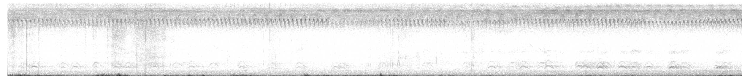 vrána americká - ML641815042