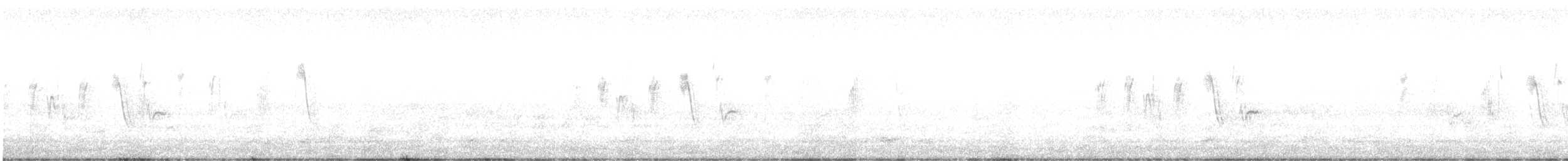 Correndera Pipit - ML641815202