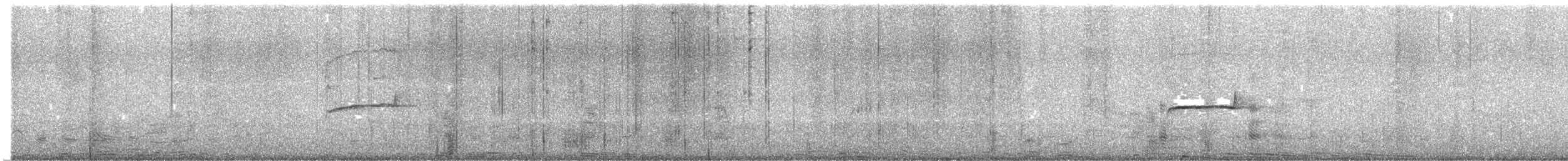 Southern Beardless-Tyrannulet - ML641816529
