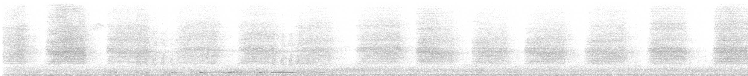 Barred Owl - ML641816612