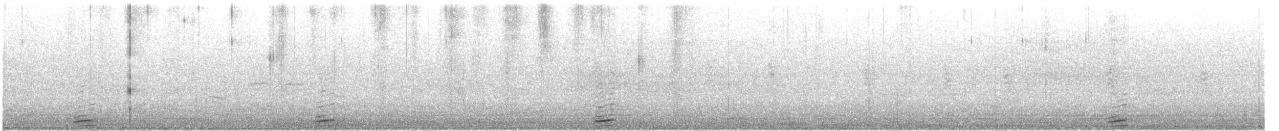 Casarca - ML641816625