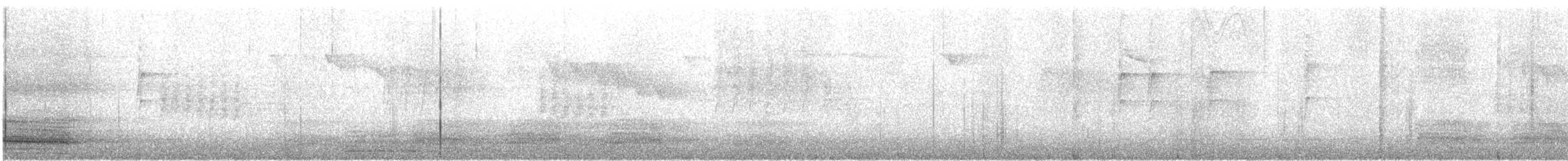 Corneja Cenicienta (grupo cornix) - ML641816644