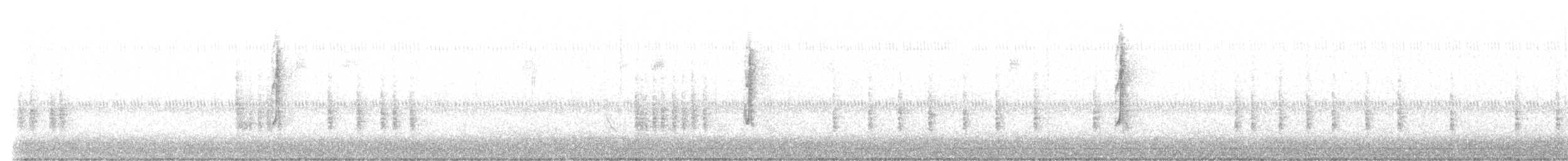 Очковая хвойница - ML641816808