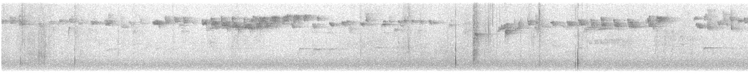 Regolo - ML641817635