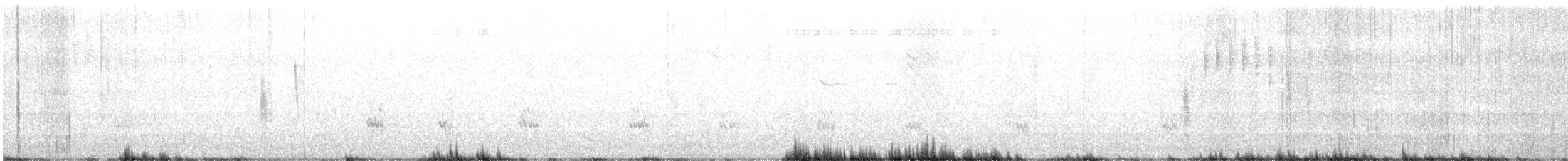 Piovanello pettorale - ML641818400
