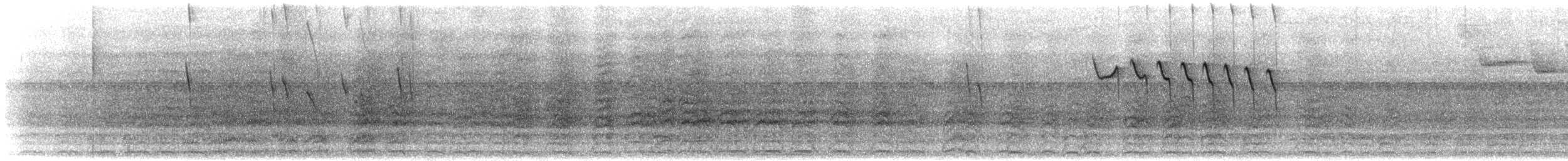 White-eyed Stipplethroat - ML641818637