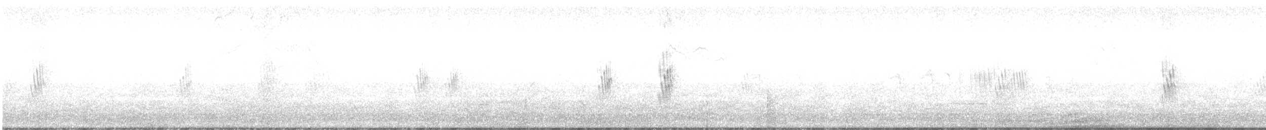 Chilean Swallow - ML641819569