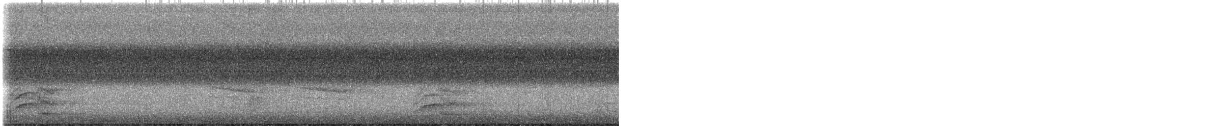 Cygne tuberculé - ML641820257