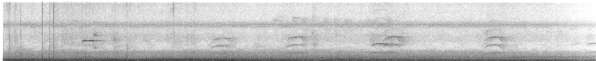 Northern Beardless-Tyrannulet - ML641822876
