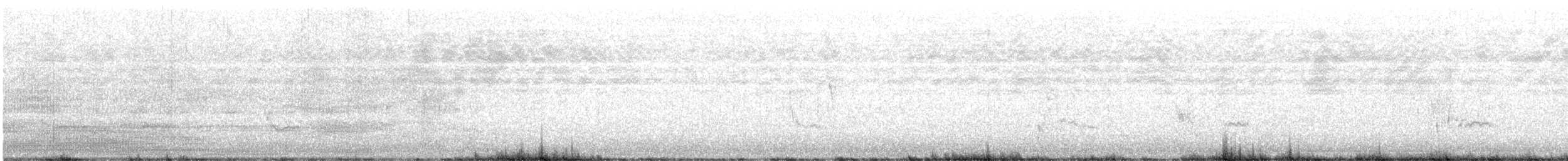 Louisianawürger - ML641822888