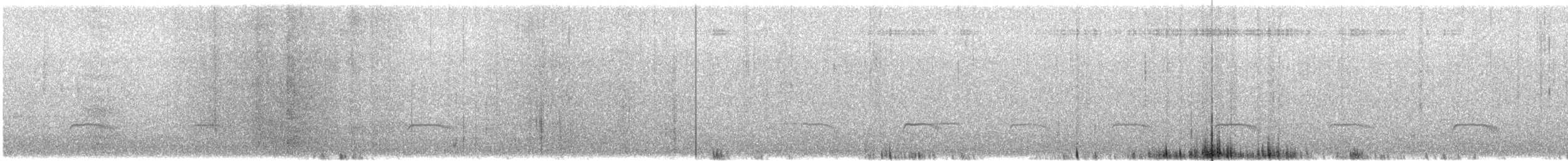 Tschudi's Nightjar - ML641823829