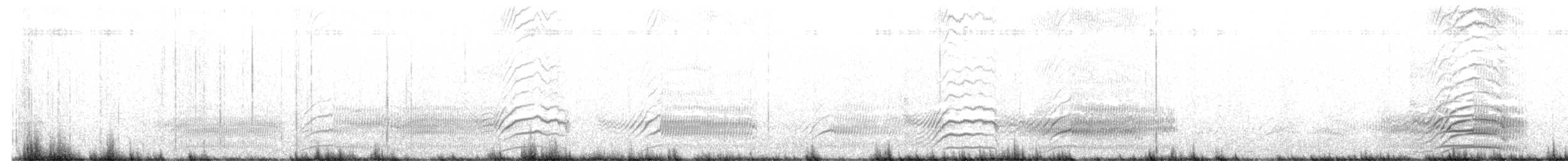 Noddi bleu - ML641825718