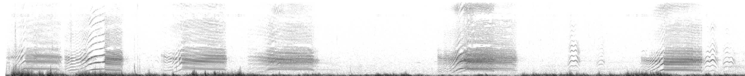 Noddi bleu - ML641825719