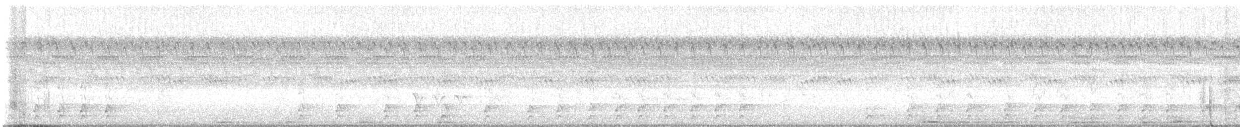 hvitbrynsvartspett - ML641825840