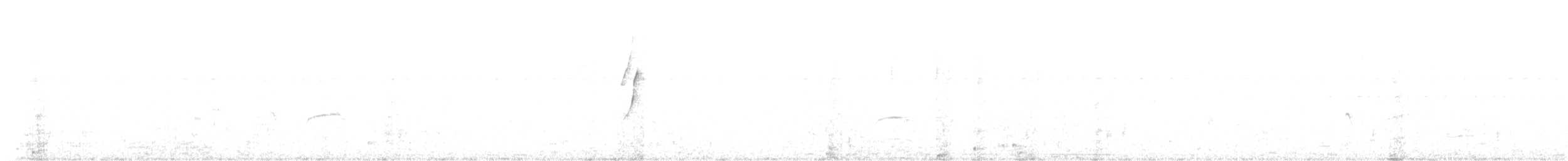 Synallaxe vannier - ML641825925