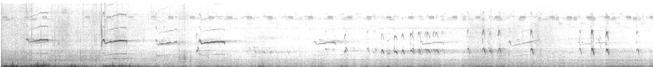 Lesser Yellowlegs - ML641828575