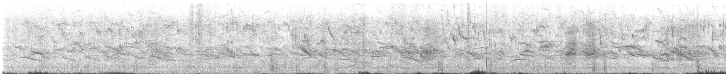 Grayish Baywing - ML641830486