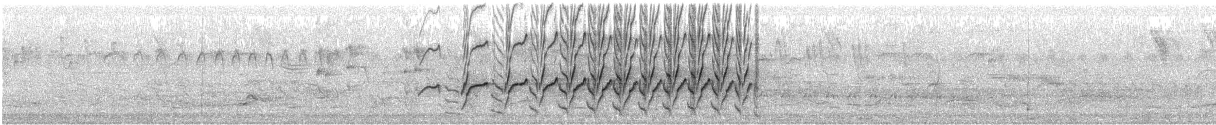 Scimitar-billed Woodcreeper - ML641831020