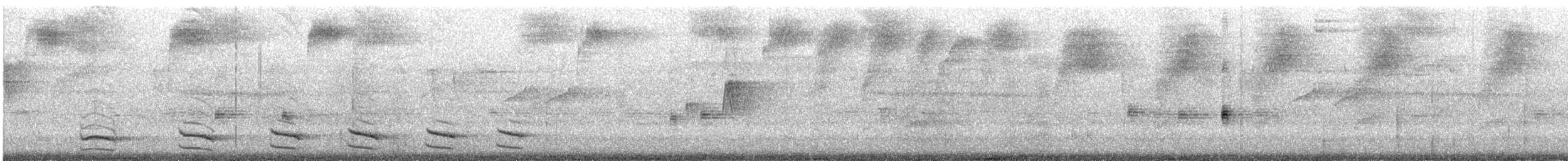 Uniform Antshrike - ML641832716