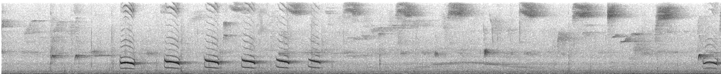 Uniform Antshrike - ML641832725