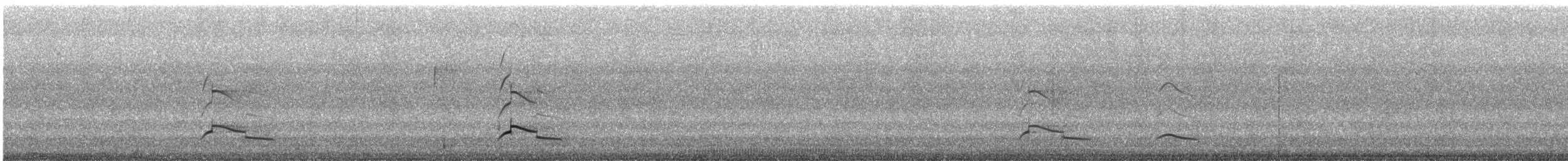 Barred Hawk - ML641832796