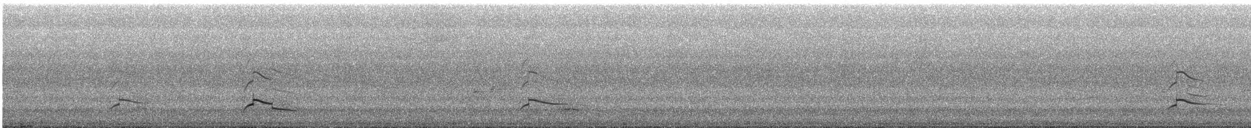 Barred Hawk - ML641832805