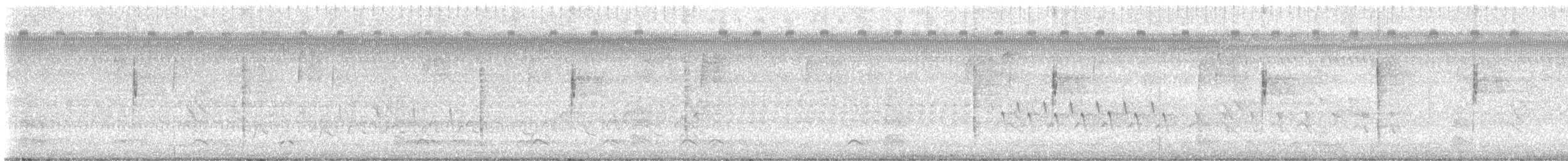 Northern Waterthrush - ML641833143