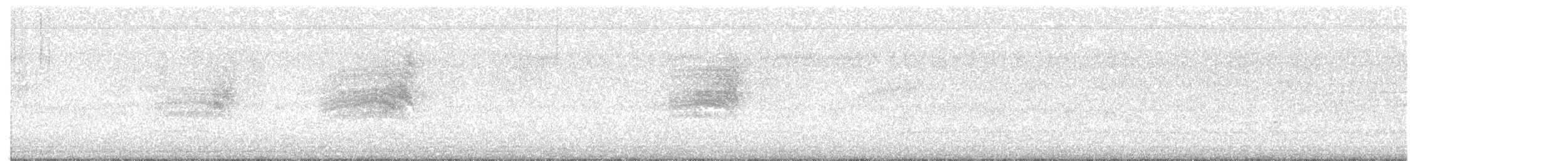 Western Warbling Vireo - ML641835308