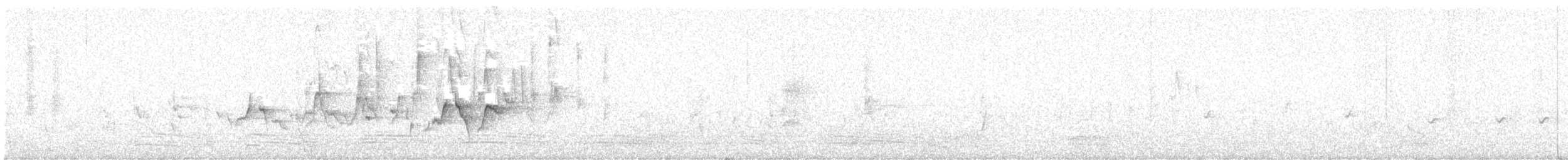 stumpnebb - ML641835432