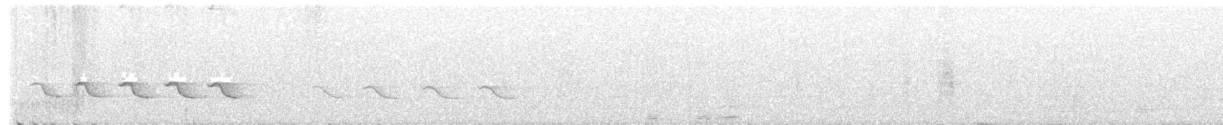 Leaden Flycatcher - ML641835452