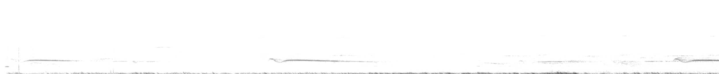 Fan-tailed Cuckoo - ML641837158