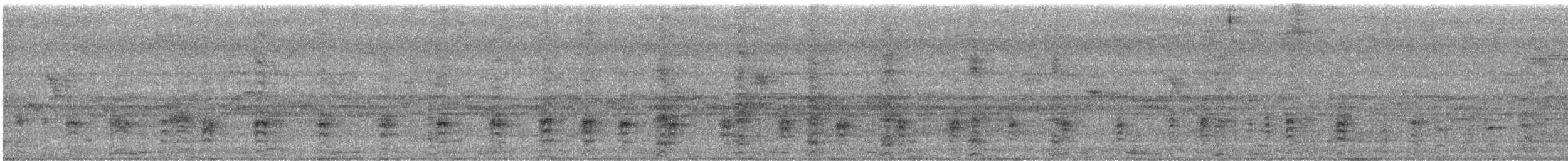 Little Cormorant - ML641839864