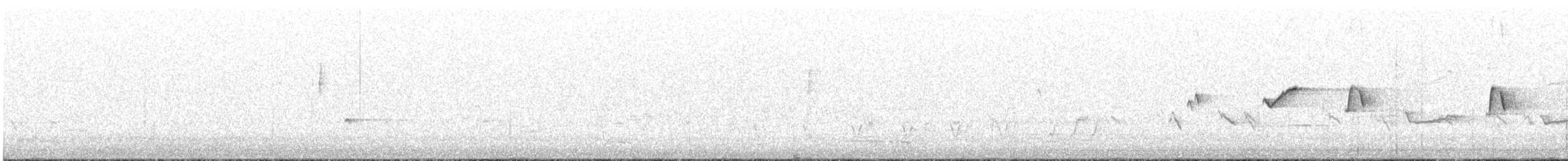 Noisy Scrub-bird - ML641841562