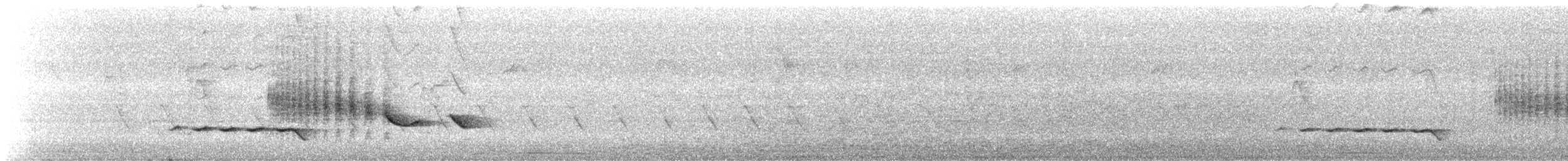 White-tailed Iora - ML641841777