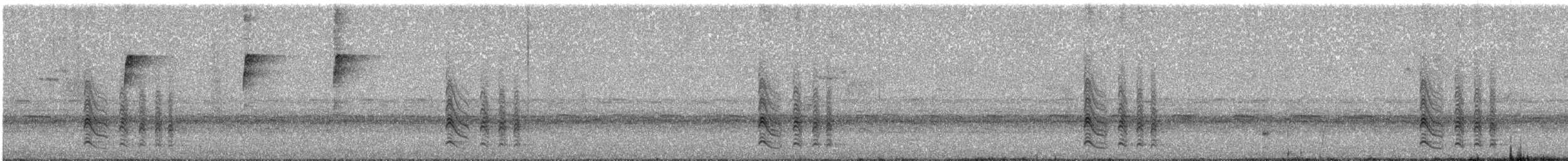 アカチャツグミマイコドリ - ML641842894