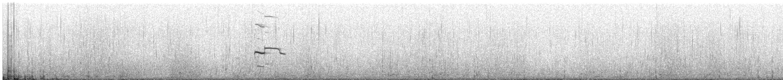 racek kalifornský - ML641843115