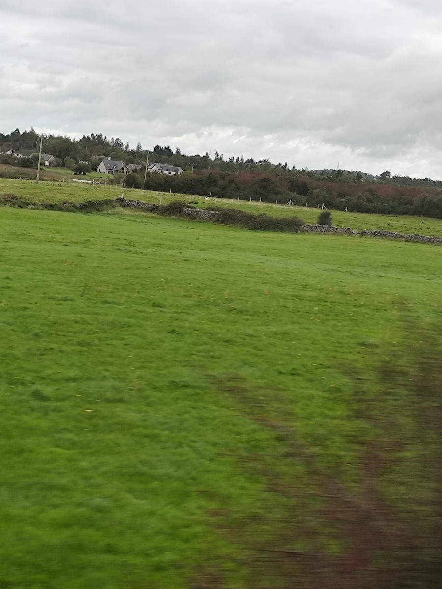 Гангар хун - ML641845237