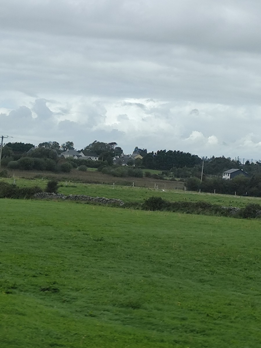 Гангар хун - ML641845266