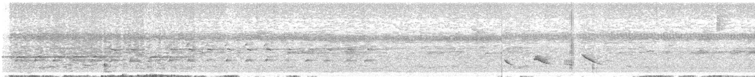 Common Black Hawk - ML641849997