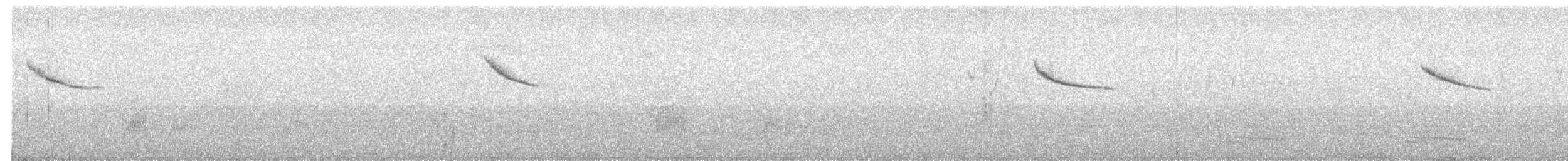 Dilindaria - ML641854124