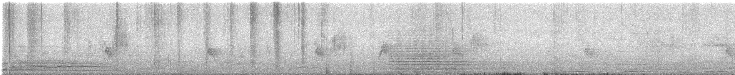 Blue-and-white Swallow (cyanoleuca) - ML641854588