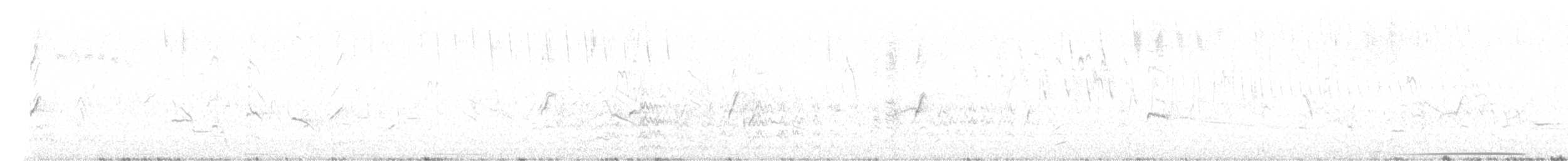 Picazuro Pigeon - ML641855737
