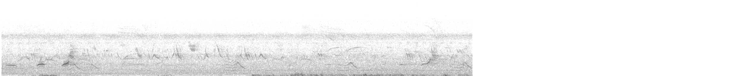 Spot-bellied Bobwhite - ML641856086