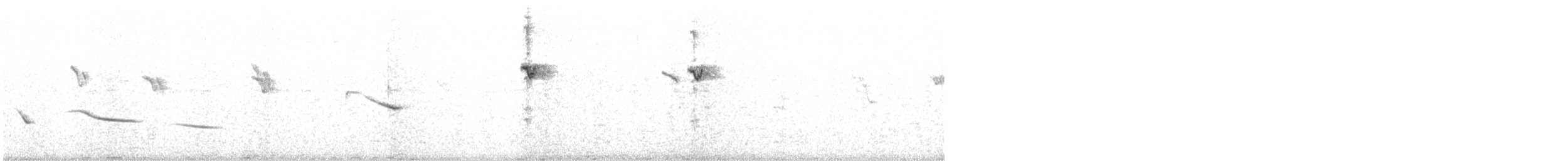 Bengalino comune - ML641857024