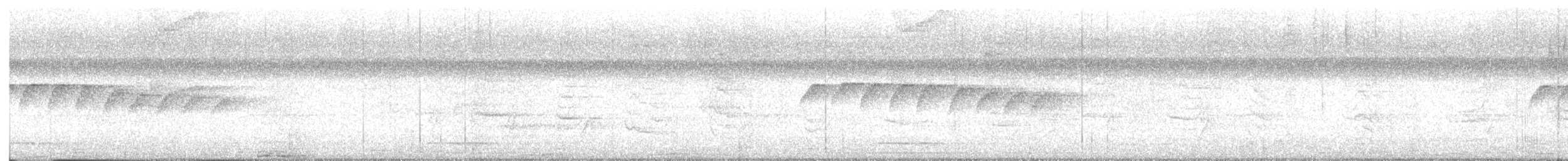 White-browed Gnatcatcher - ML641857880